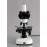 40X-1000X 3W LED Siedentopf Trinocular Compound Microscope