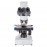40X-1000X Advanced Compound Microscope with Built-in 3MP Camera and Reversed Nosepiece