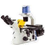 Oxion Inverso (fluorescence)